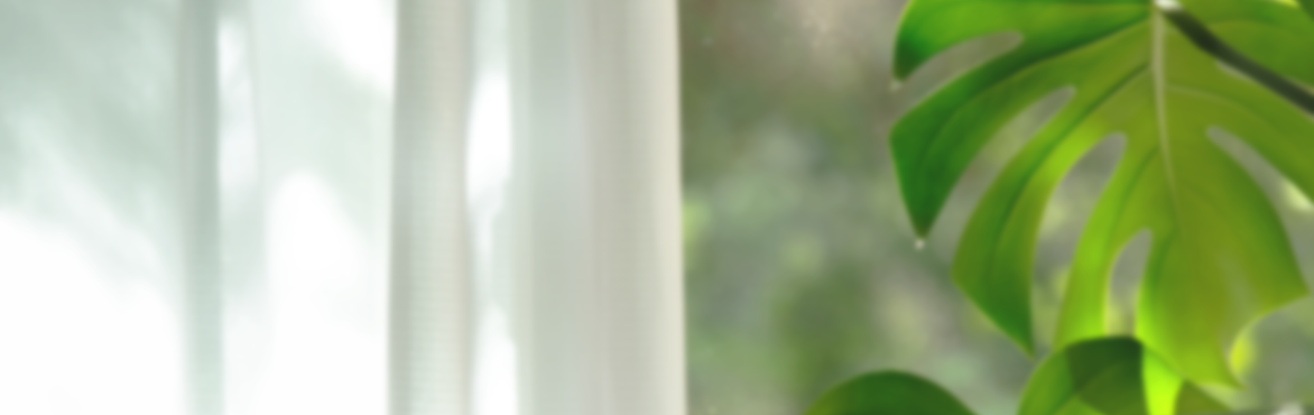 サブビジュアル