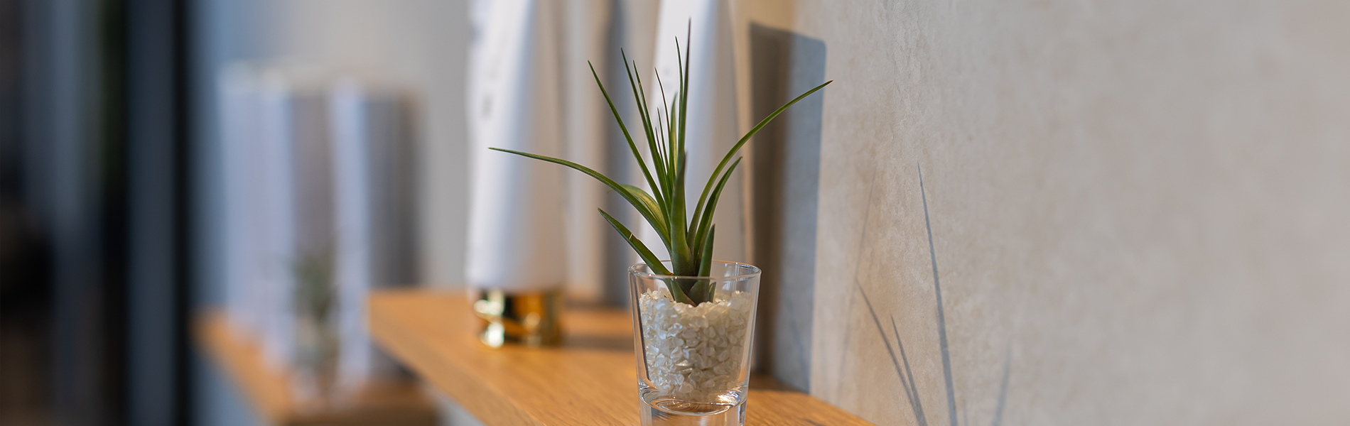 サブビジュアル